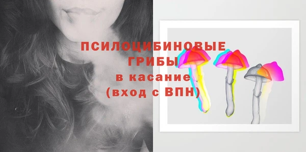 эйфоретик Богородск
