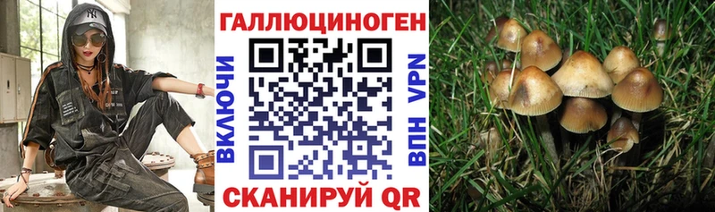 Галлюциногенные грибы MAGIC MUSHROOMS  Великий Новгород 